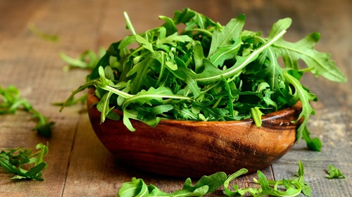 hydroponic arugula