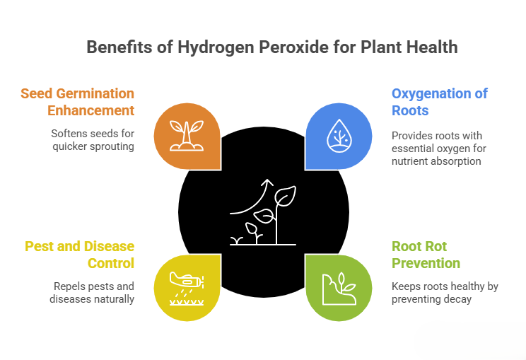 Benefits of Using Hydrogen Peroxide On Plants