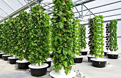 vertical hydroponic garden systems