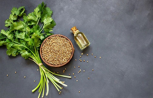 Cilantro seeds