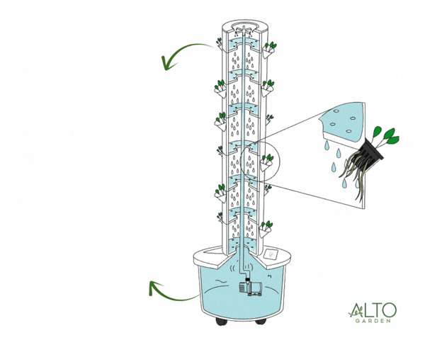 Hydroponic Tower Uses