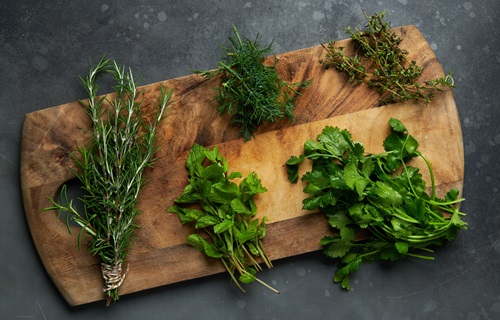 tray of hydroponic herbs