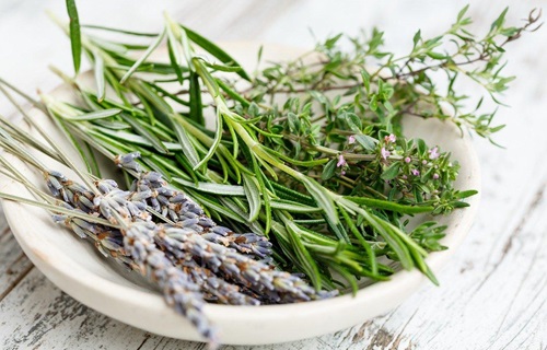 hydroponic herb plate