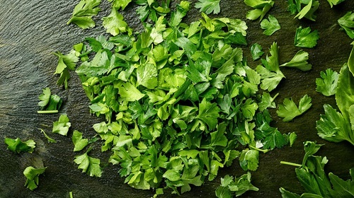 chopped parsley for cooking chopped parsley for cooking