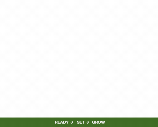 Steps for hydroponic tower garden
