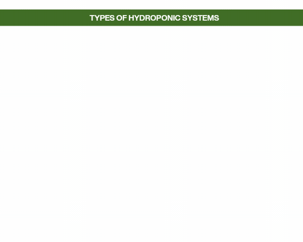 Types of Hydroponic Systems