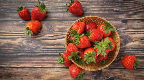 strawberries grown indoors with hydroponics