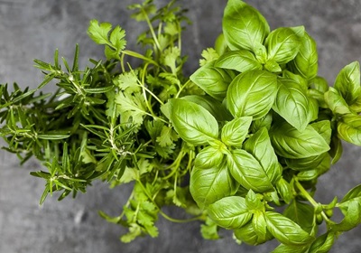 herbs, leafy greens, and fruit all grow well in a hydroponic tower