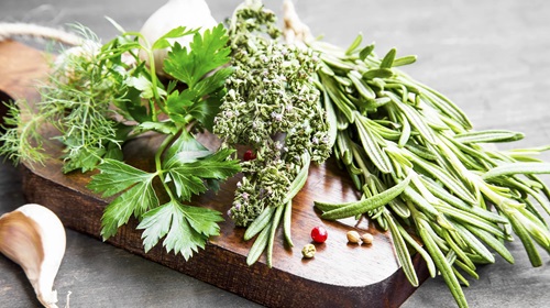 cutting board with hydroponic herbs