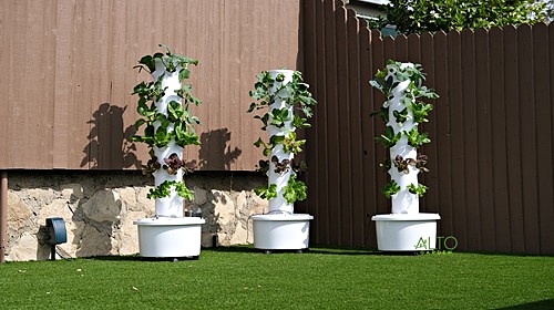 three hydroponic towers with lettuce, kale, bok choy and basil outdoors in the backyard sun