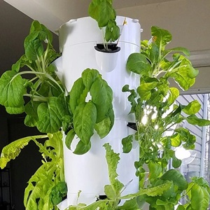 indoor hydroponic tower garden