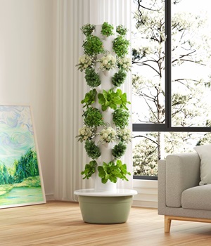 hydroponic tower in a living room